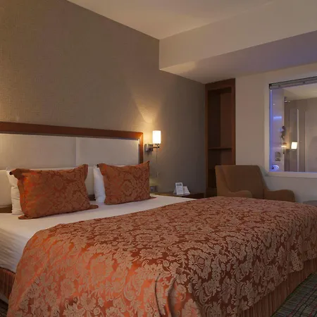 Houston Hotel 4*